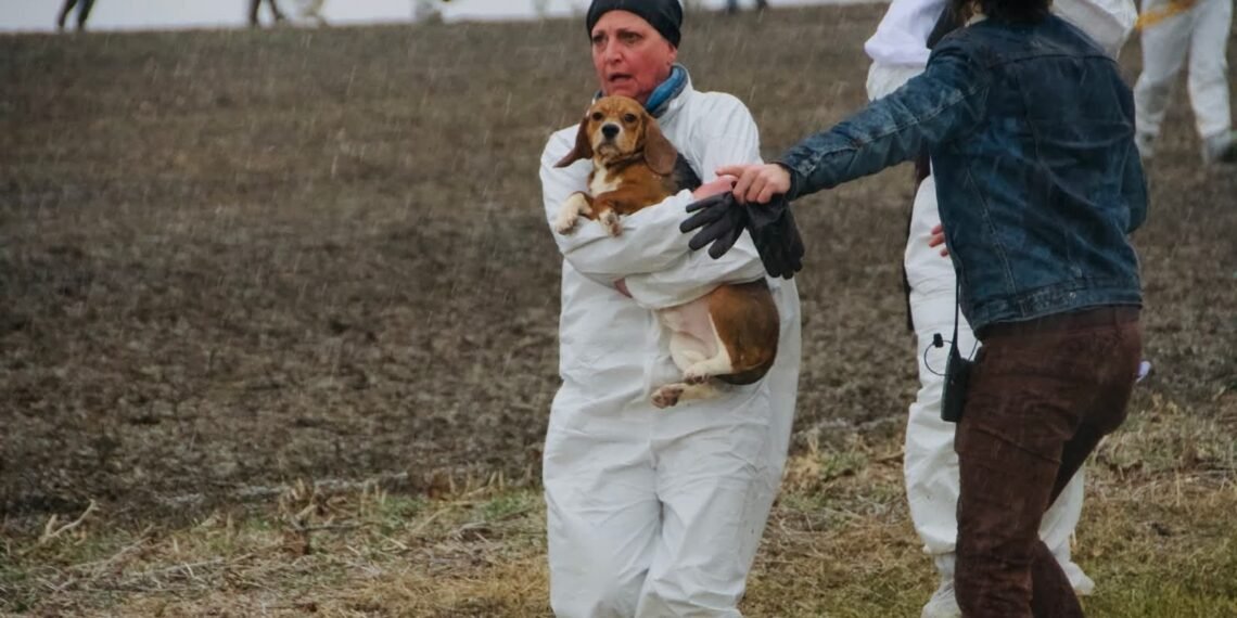 Activists Rescue Beagles from Wisconsin’s Ridglan Farms
