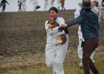 Activists Rescue Beagles from Wisconsin’s Ridglan Farms