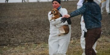 Activists Rescue Beagles from Wisconsin’s Ridglan Farms