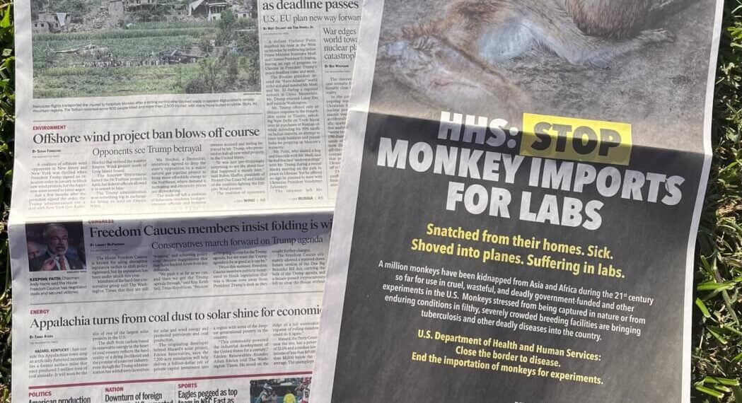 Charles River Monopoly Fuels Macaque Laundering Crisis