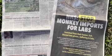 Charles River Monopoly Fuels Macaque Laundering Crisis