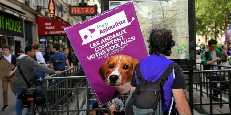 French Animalist Party Doubles Local Representation in 2026 Vote